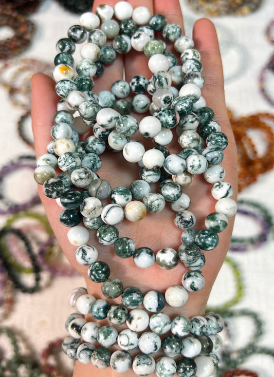 Moss Agate Bracelects[CB]